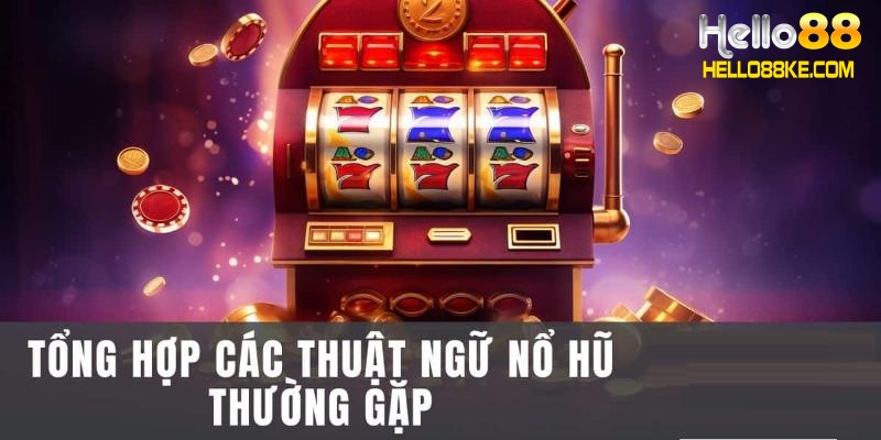 Những thuật ngữ thường dùng 